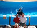 Sea World-30